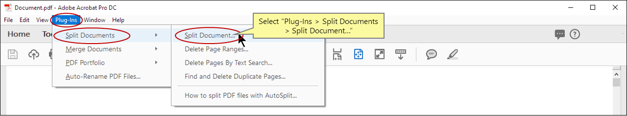 Open the Split Document Settings dialog